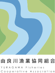 由良川漁業協同組合