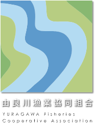 由良川漁業協同組合