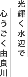 光輝く水辺で心うごく由良川
